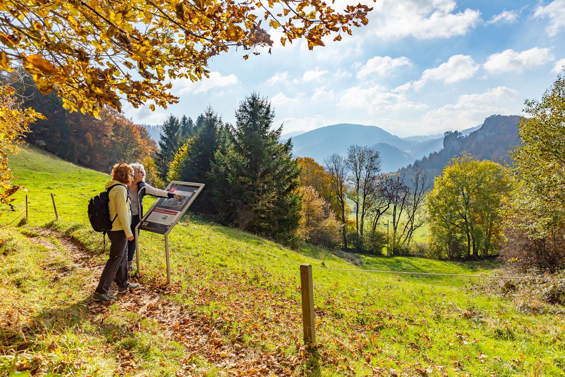 SchweizMobil-Rundweg 472 Fortifikation Hauenstein Erinnerungspfad Erster Weltkrieg Informationstafel Ankeballe