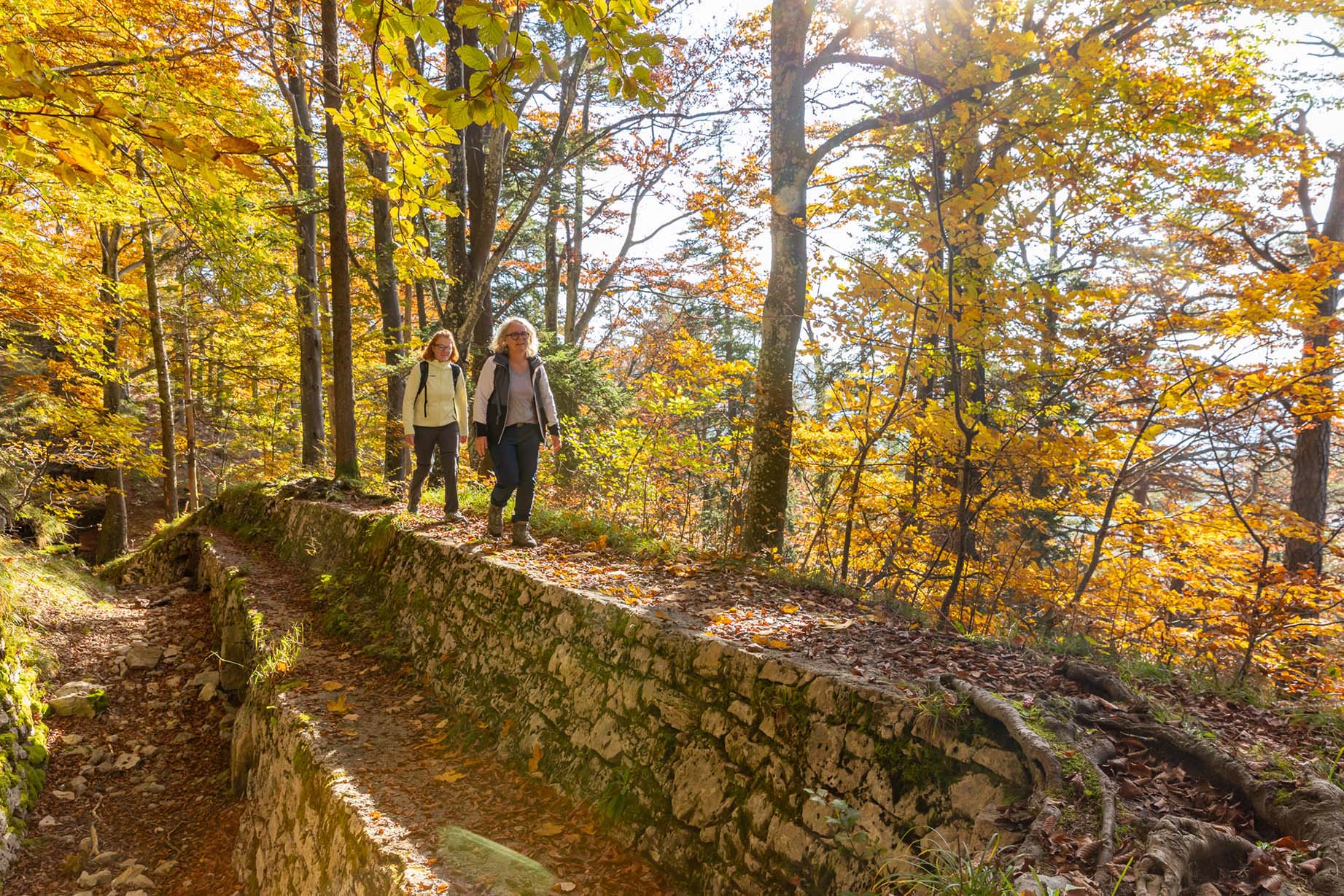 SchweizMobil-Rundweg 472 Fortifikation Hauenstein Erinnerungspfad Erster Weltkrieg Schützengraben Spitzeflüeli